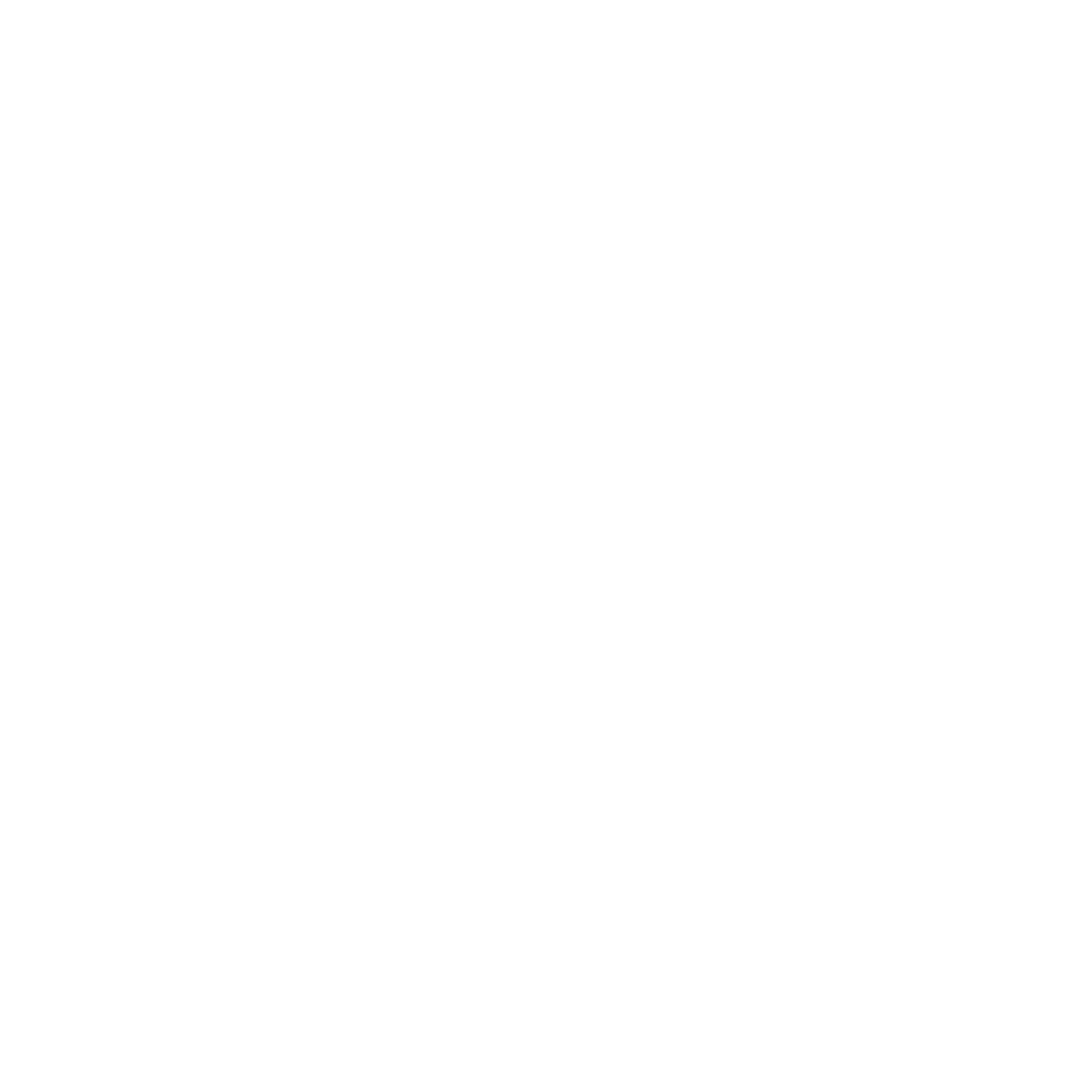 R A I C H